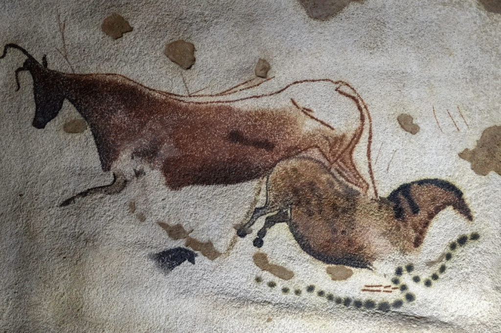 image 256